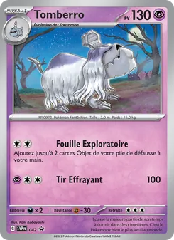 Tomberro, SVP Black Star Promos, n° 042