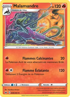 Malamandre, Épée et Bouclier, n° 28