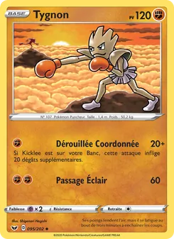 Tygnon, Épée et Bouclier, n° 95