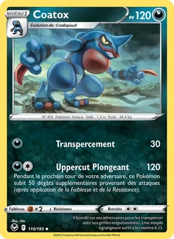 Coatox, Tempête Argentée, n° 110