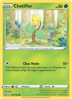 Chétiflor, Styles de combat, n° 1