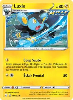 Luxio, Styles de combat, n° 47