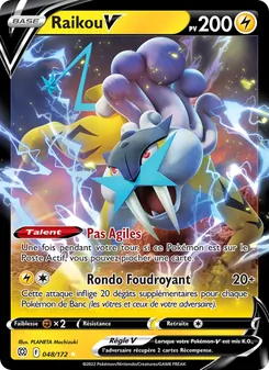 Raikou V, Stars Étincelantes, n° 048