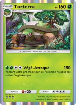 Torterra, Choc Spatio-Temporel, n° 012