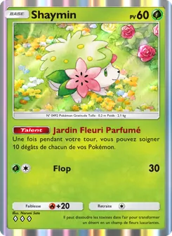Shaymin, Choc Spatio-Temporel, n° 022