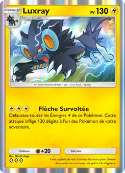 Luxray, Choc Spatio-Temporel, n° 060