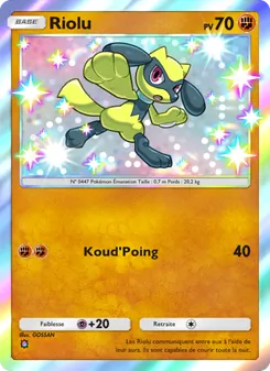 Riolu, Réjouissances Rayonnantes, n° 104