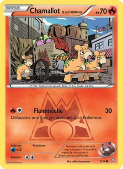 Chamallot de la Team Magma, Double Danger, n° 1