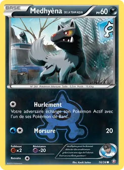 Medhyèna de la Team Aqua, Double Danger, n° 16