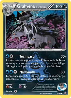 Grahyèna de la Team Aqua, Double Danger, n° 18