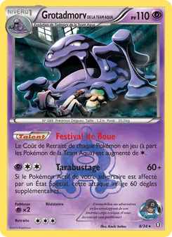 Grotadmorv de la Team Aqua, Double Danger, n° 8