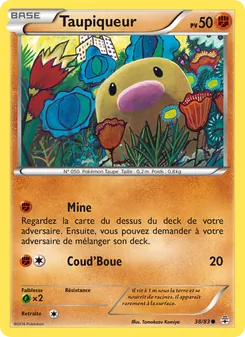 Taupiqueur, Générations, n° 38