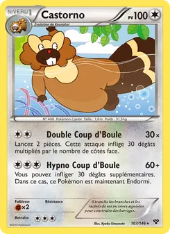 Castorno, XY, n° 107