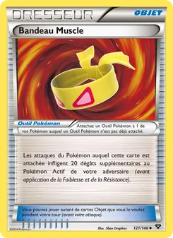 Bandeau Muscle, XY, n° 121