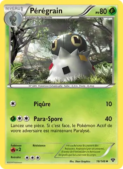 Pérégrain, XY, n° 16