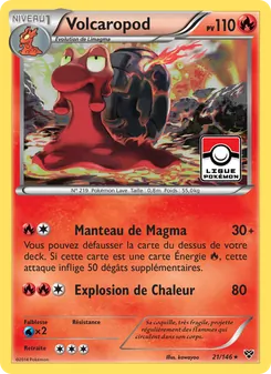 Volcaropod, XY, n° 21