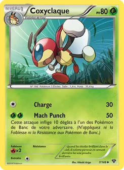 Coxyclaque, XY, n° 7
