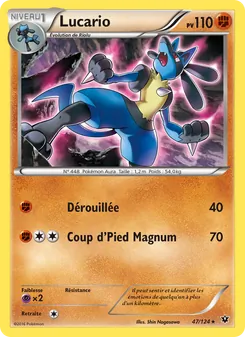 Lucario, Impact des Destins, n° 47