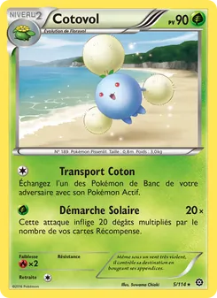 Cotovol, Offensive Vapeur, n° 5