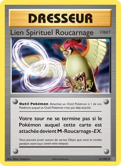 Lien Spirituel Roucarnage, Évolutions, n° 81