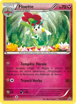 Floette, Étincelles, n° 65