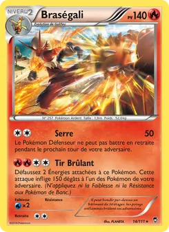Braségali, Poings Furieux, n° 14