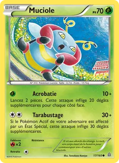 Muciole, Primo-Choc, n° 17