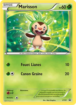 Marisson, Promo XY, n° XY01