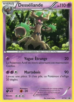 Desséliande, Promo XY, n° XY14