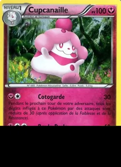 Cupcanaille, Promo XY, n° XY15