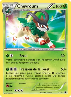 Chevroum, Promo XY, n° XY16