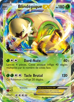 Blindépique EX, Promo XY, n° XY18
