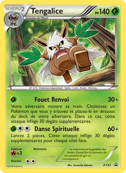 Tengalice, Promo XY, n° XY23