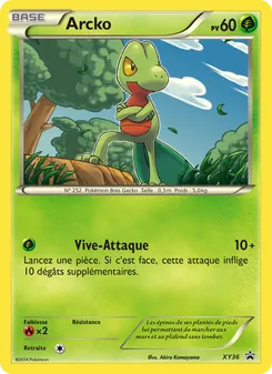 Arcko, Promo XY, n° XY36