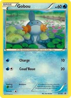 Gobou, Promo XY, n° XY38
