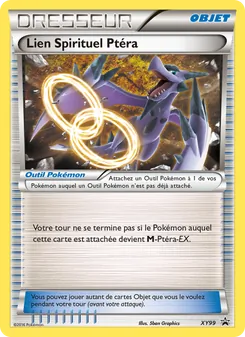 Lien Spirituel Ptéra, Promo XY, n° XY99